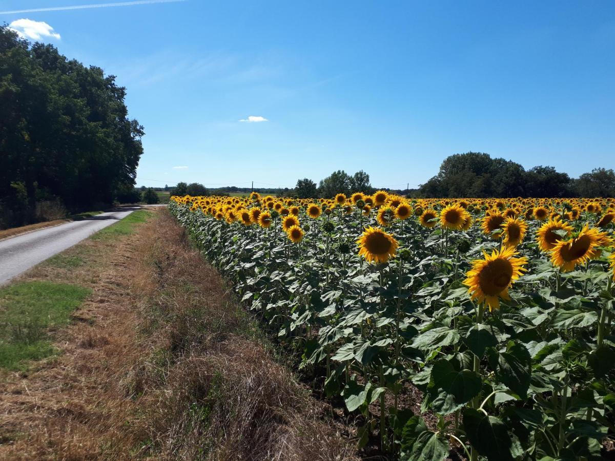 Les Bruyeres De Jeanne Et Rene Zoo De Beauval A 20Min,Chateaux Tout Inclus Fontguenand Kültér fotó